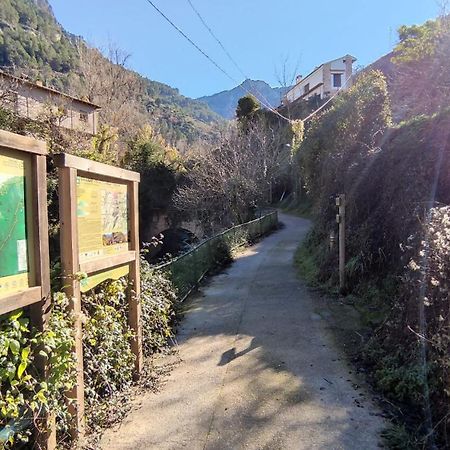 Alojamientos Puerta Del Parque カソルラ 部屋 写真