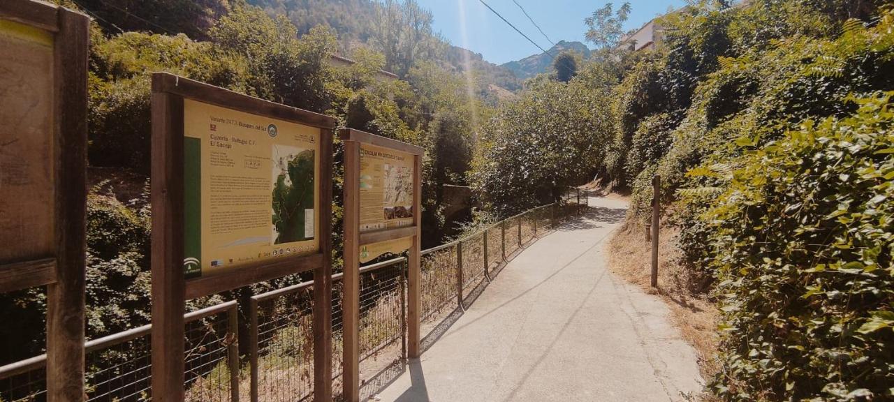 Alojamientos Puerta Del Parque カソルラ エクステリア 写真